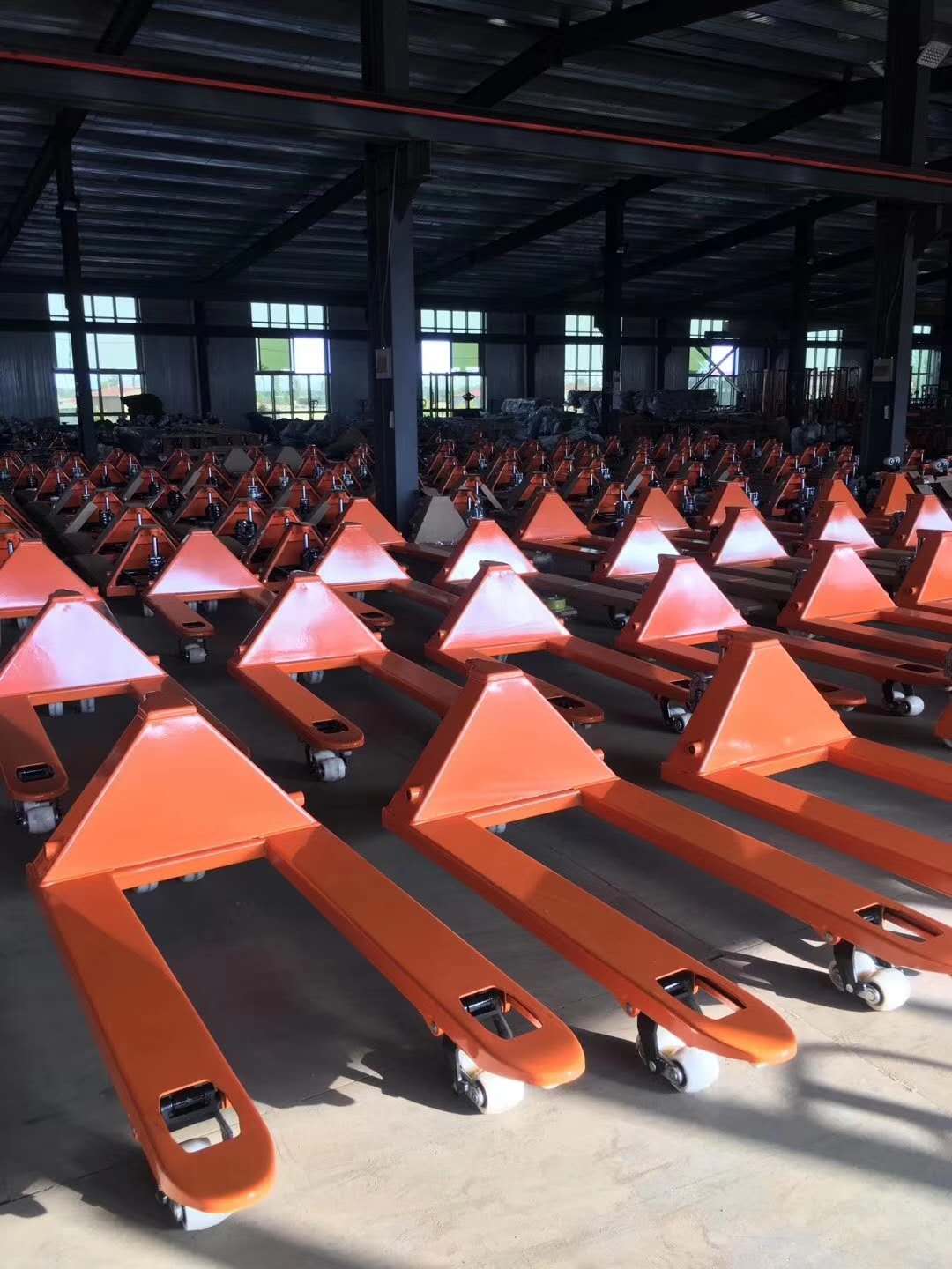 Hydraulic Manual Forklift Hand - Hand Pallet Truck ulasan dan harga